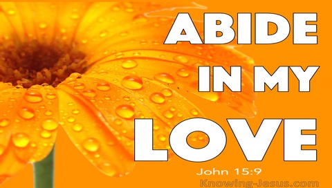 John 15:9  Abide In My Love (white)